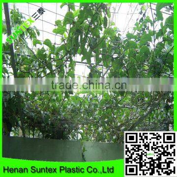 Heavy duty long-lasting polyester trellis netting plant support net