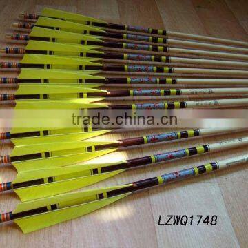 Feather Arrows LZWQ1748