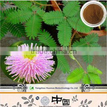 Companies looking for distributors Mimosa Extract