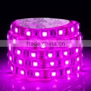SDSLED IP65 SMD5050 60LED/m Pink power led flexible strip light DC12V