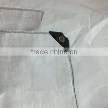 PLASTIC PE TARPAULIN 100% Virgin New Raw Material Custom Size All Purpose High Tensible Striped Hem Prenvent uv Tear-resisntant photo-2