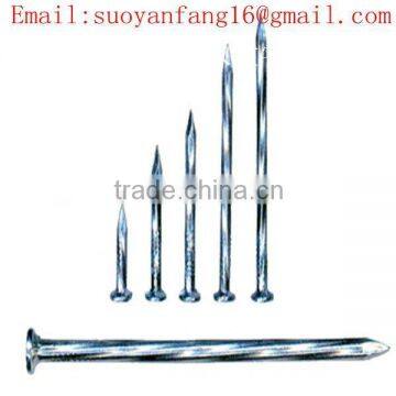 Galvanized Steel Concrete Nails (factory)