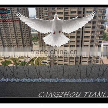 Anti Bird Perch Stainless Steel Bird Spikes---TLD5001A