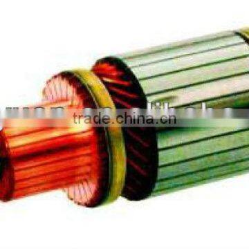 HITACHI 61-8111 IM3035 12V Armature 2130-11001