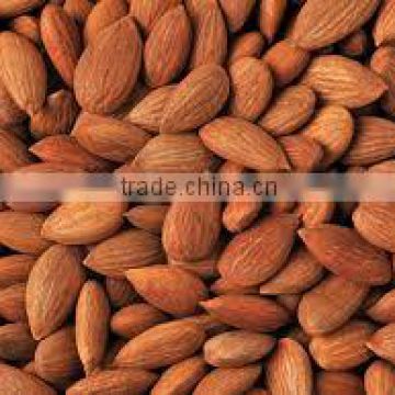 Quality Processed Dried Apricot Kernels for sale