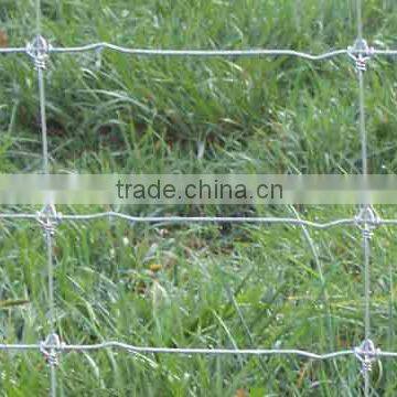 hinge joint knot field fence for animals