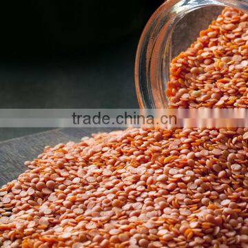 Best quality Red Lentils/Kidney Beans for sale