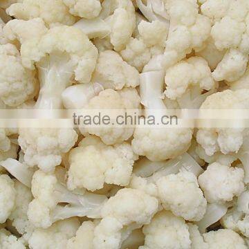 IQF FROZEN CAULIFLOWER GOOD QUALITY FOR EU