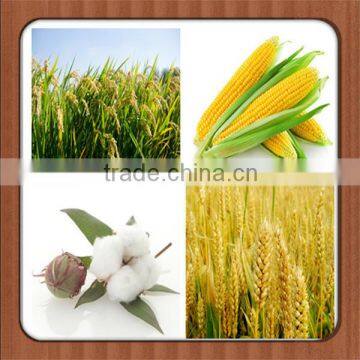 Ammonium Sulfate AS SA Ammonium Sulphate Supplier