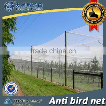 100% Pure Virgin HDPE anti-birds net / 20102-50