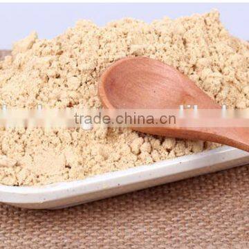 Sale well ginger extract dried ginger powder