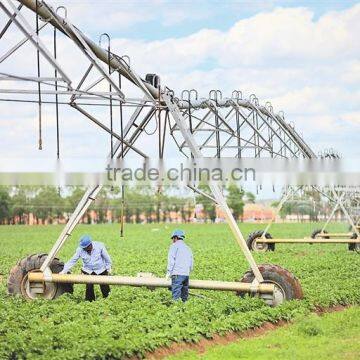 Massive Irrigation Machinery and Custom Designed Center Pivot With Good Service and Best Price photo-4