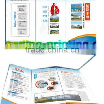 Accordion Flyers Design Printing Service