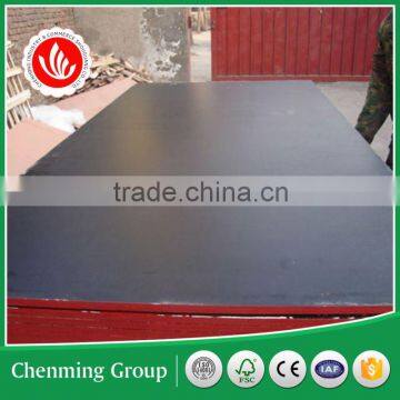 Poplar Plywood/poplar Film Faced Veneer Plywood photo-2