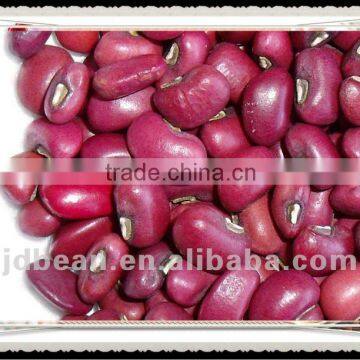 high quality red cowpea