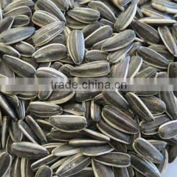 Hulled Sunflower Seeds 5009 With Good Quality photo-2