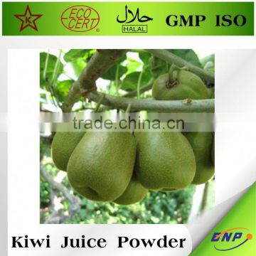 Instant Kiwi Juice Powder