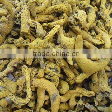 DRIED FINGER TURMERIC