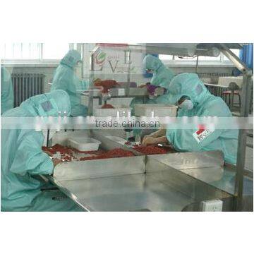 FACTORY--- Goji Berries --2015 STOCK photo-2