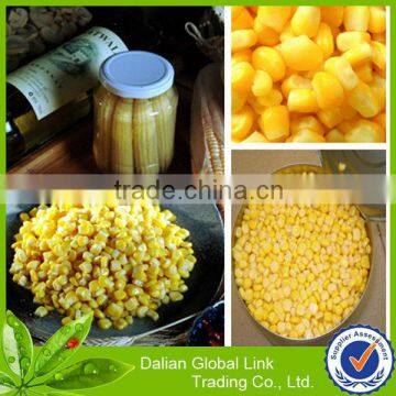 wholesale china canned sweet corn fresh 340g