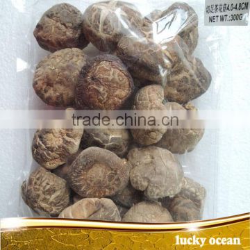 4-4.8cm dried tea flower shiitake mushroom