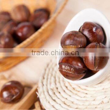 Best Quality Roasted Chestnuts With Shell, Chinese Chestnuts photo-4