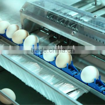 chicken egg sorting, grading machinery manufacturers