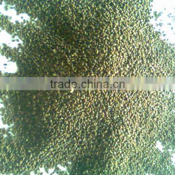 Quality Sesbania Seeds