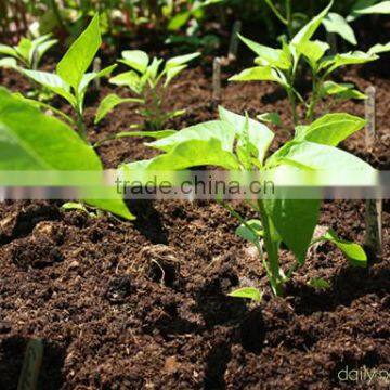 ORGANIC FERTILIZER FOR FAst growth