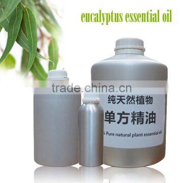 Pure eucalyptus oil bulk