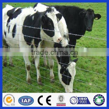 DM Good Quality Animal Husbandry Fence ( Anping factory )