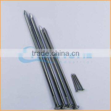 Manufacture High Quality Low Price Common Iron Nail and Steel Nail Make Machine Factory photo-4