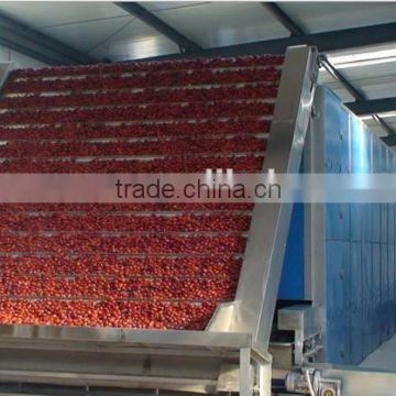 Continuous Hot Air Green Red Pepper Slices Cubes Drying Machine