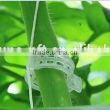 Cheap Plastic Tomato Clip for Agriculture Garden Use