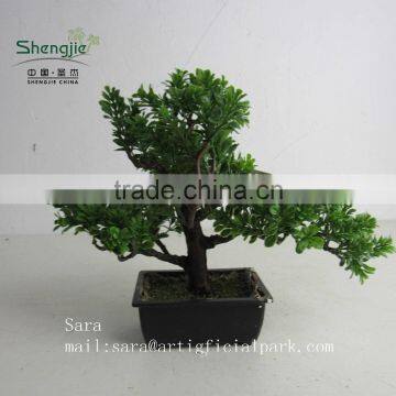 Indoor Bonsai,potted Evergreen Foliage, Decorative Landscape photo-5