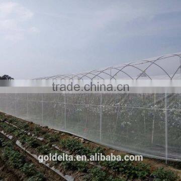 Anti Insect Netting photo-2