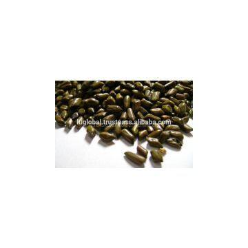 BEST PRICE FOR CASSIA SEED WITH GOOD QUALITY