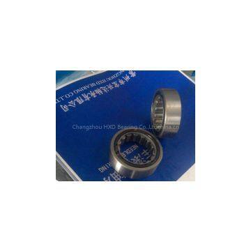 Needle Roller Bearing R...TAV