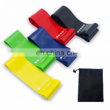 Trade Assurance 12 Inch Set of 5 Bands Physical Therapy Exercise Resistance Crossfit Loop Band with Mini Nylon Carry Bag