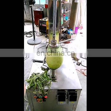 Good effect commercial fruit peeler/pineapple peeler machine/electric fruit peeling for pineapple