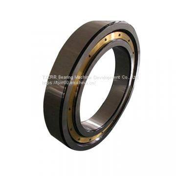 3909 FBJ thrust ball bearings