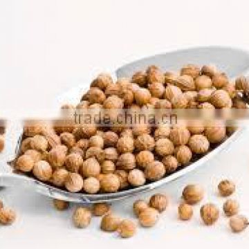 Organic Coriander seed suppliers