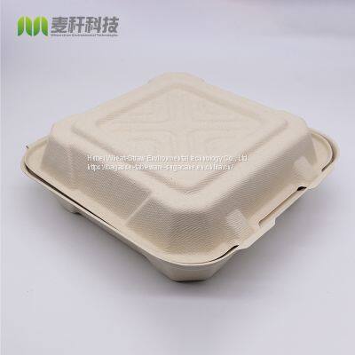 Disposable Biodegradable 9*9 3C Take Away Sugarcane Container photo-3