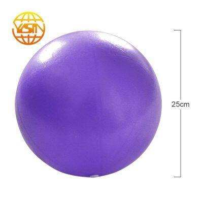 Hot Sale Household  Exercises Rolling On 25cm Yoga Balls for Pilates Sports