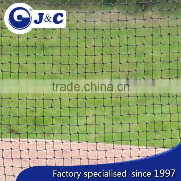 Bespoke Size Anti Hummingbirds Protection Netting Use for Hummingbirds , Anti Bird Protection Net,PE Agricultural Bird Netting photo-2