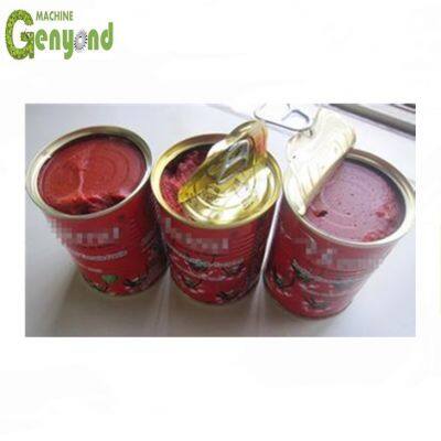500kg Fresh Tomato Paste Plant/equipment/machine/machinery for Sale