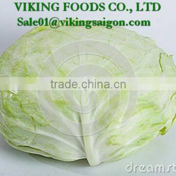 *Special _ Fresh Green Cabbage _ From Vietnam*