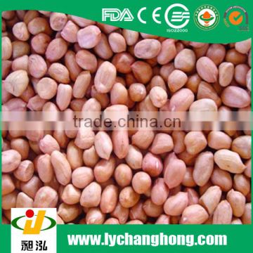 shandong Raw peanuts