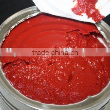 fresh canned tomato paste