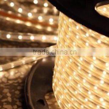 110/220V SMD 3528 Strip Light, 120-piece LED/m
